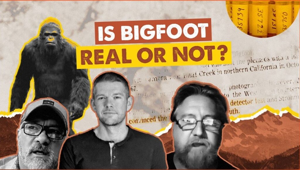YOUTUBE THUMBNAILS